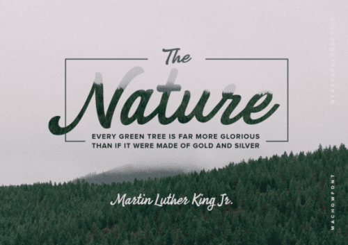 Machow Bold Casual Script Font  1