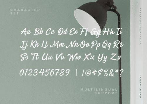 Machow Bold Casual Script Font  8