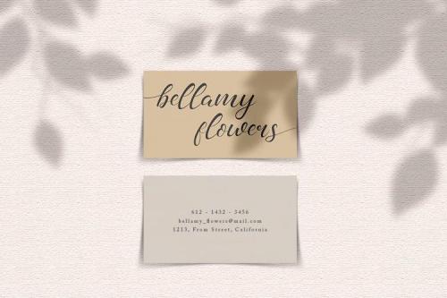 Madelyn Chic Script Font 1