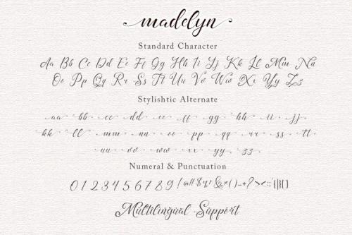 Madelyn Chic Script Font 3