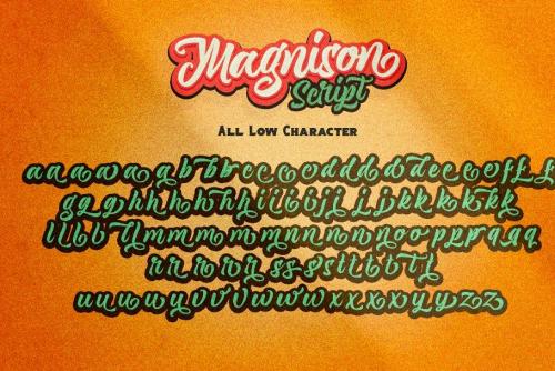 Magnison Script Font  23