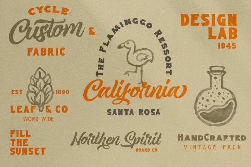 Magnison Script Font  7