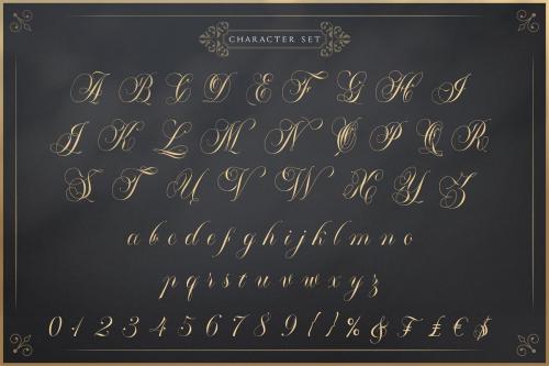 Mallaire Exclusive Calligraphy Font  3