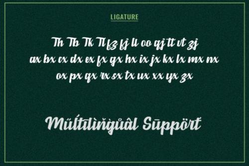 Marbrorn Script Font 10