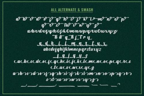 Marbrorn Script Font 8