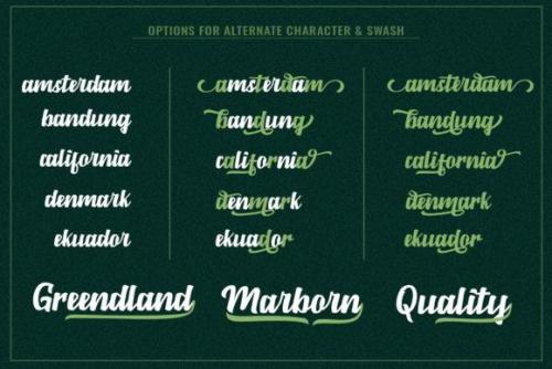 Marbrorn Script Font 9