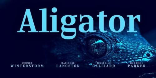 Marilka Serif Font 2