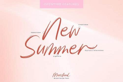 Maristand Brush Font 5