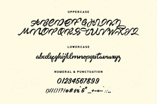 Markinson Script Font 8