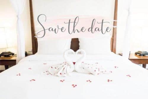 Master Script Font 4