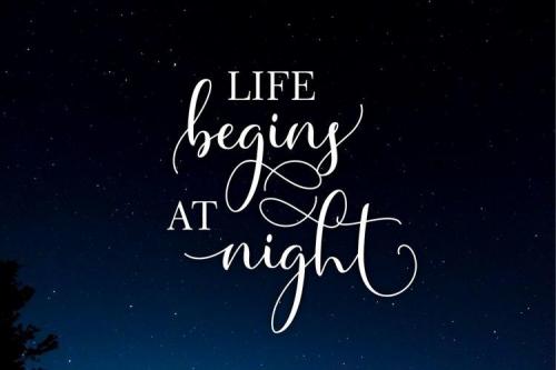 Master Script Font 8