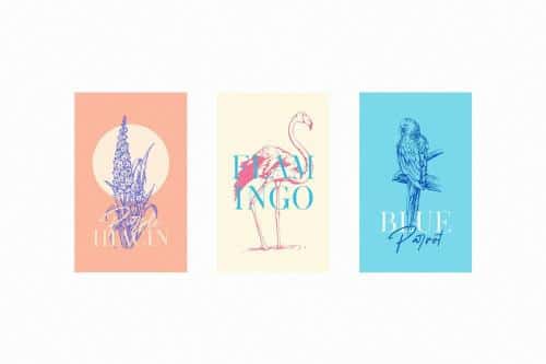 Melanic Black Font Duo 7