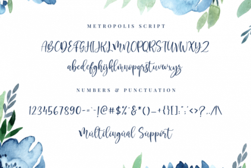 Metropolis Calligraphy Script Font 5
