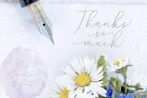 Mindline Script Font 10