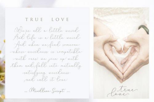 Mindline Script Font 4