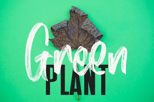 Mist Sunshine Brush Font 4