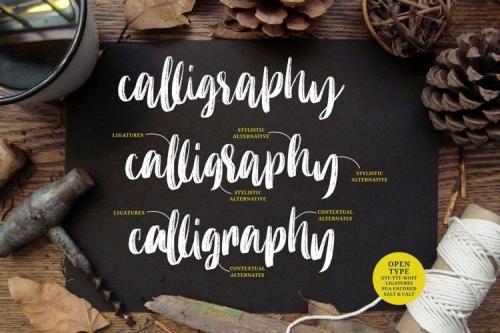 Molliquam Brush Font 2