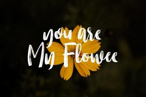 Molliquam Brush Font 4