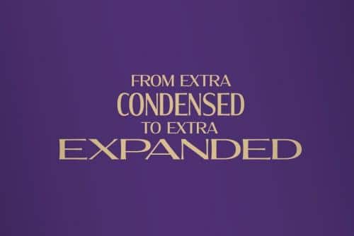 Molly Serif Font Family 3