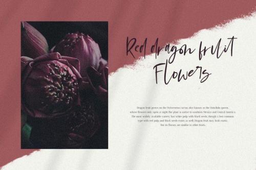 Mondela Casual Handwritten Font 2