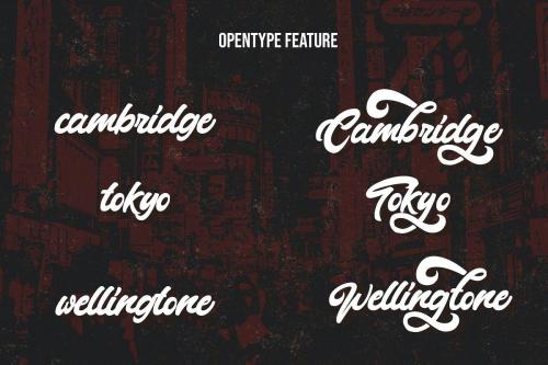 Montages Retro Bold Script Font  14