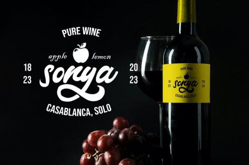 Montages Retro Bold Script Font  2