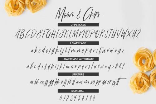 Moon  Chips Script Font Free 5