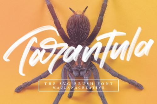 Moriss Ward Brush Font 10