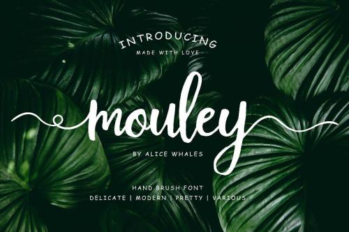 Mouley Script Font Free Download (1)