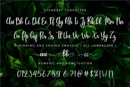 Mouley Script Font Free Download  5 (1)