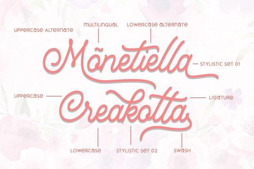 Mountecarlo Monoline Script Font  3