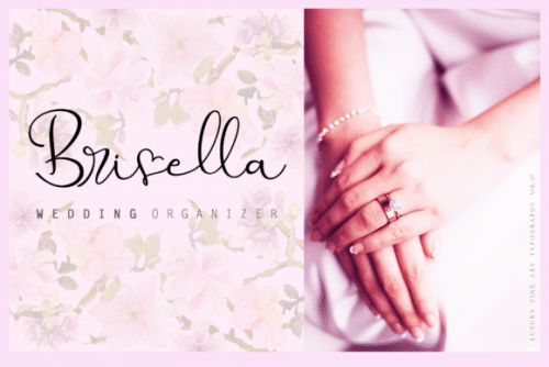 My Future Script Font 3