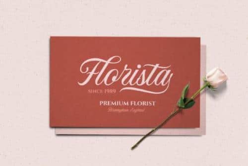 Neography Modern Calligraphy Script Font 6