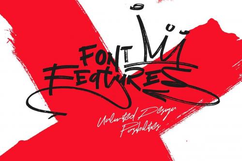 Network Script Font 11