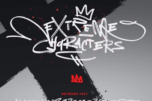 Network Script Font 13