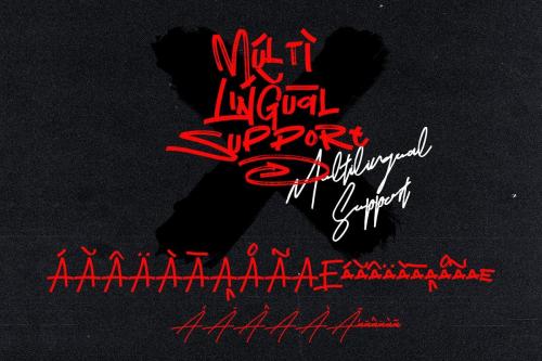 Network Script Font 16