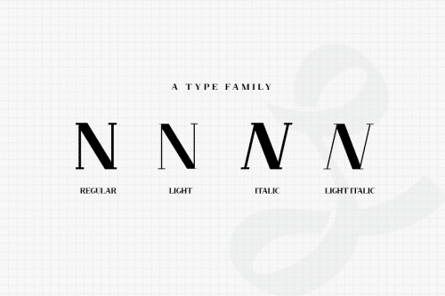 Nevada Bold Slab Serif Typeface  1