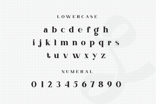 Nevada Bold Slab Serif Typeface  4