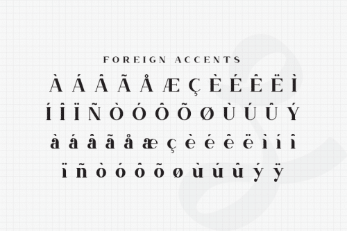 Nevada Bold Slab Serif Typeface  8