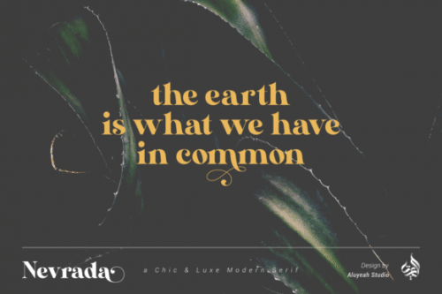 Nevrada Serif Font 7
