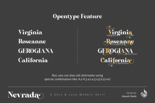 Nevrada Serif Font 9
