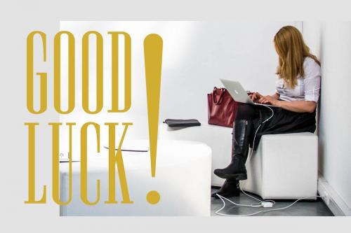 Newston Stylish Serif Font  10