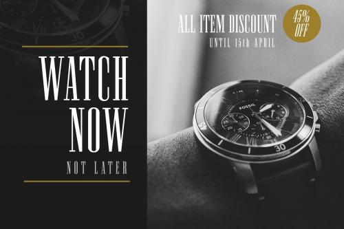 Newston Stylish Serif Font  2