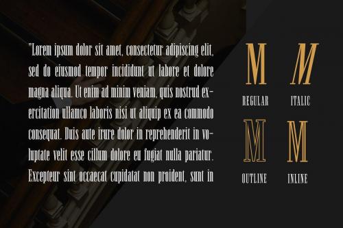 Newston Stylish Serif Font  3