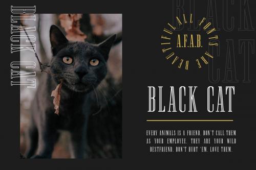 Newston Stylish Serif Font  4