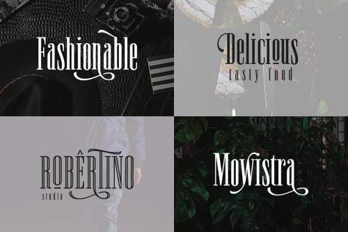 Newston Stylish Serif Font  7