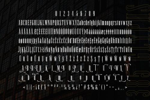 Newston Stylish Serif Font  9