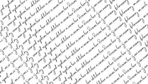 Newyorka Night Script Font 10