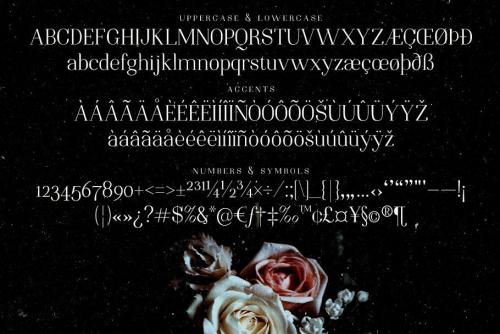 Night Still Comes Lite Serif Font 2