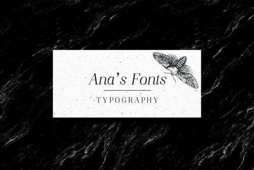 Night Still Comes Lite Serif Font 3